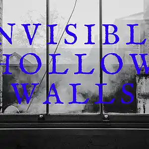 Picture for song 'Invisible Hollow Walls' by artist 'Lil' Nub'