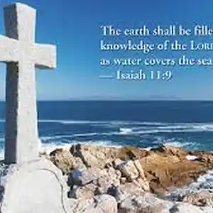 Picture for song 'Shall Be Filled (Instrumental)' by artist 'My Shepherd King'