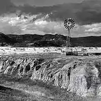 Picture for song 'These High Plains H2 demo' by artist 'Roy Williams'