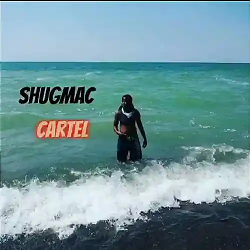 cover pic