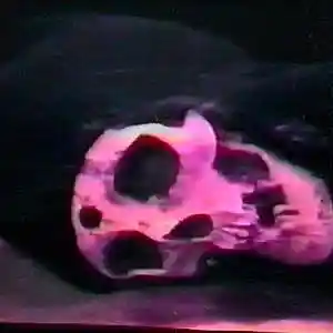 Picture for song '"Spark Of Hope" - Night Lovell x BONES Type Beat' by artist 'VPKST'