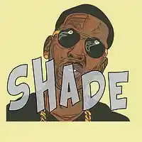 Picture for song 'Shade' by artist 'BaysFynest Beatz'