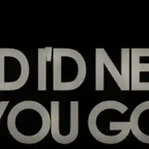 Picture for song 'Never Let You Go (Remix)' by artist 'Blaq Tapestry'