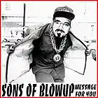 Picture for song 'MESSAGE FOR YOU (LIVE @ SHADOW LOUNGE 08-27-2010)' by artist 'BLOWUP SCHOOL'