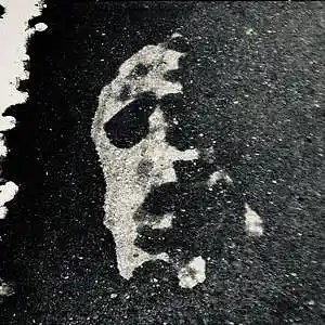 Picture for song 'no roads' by artist 'jasper's mindmelt'