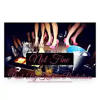 Picture for song 'Not Fine (No Hook) *FreeDL*' by artist 'Klimax Productions'