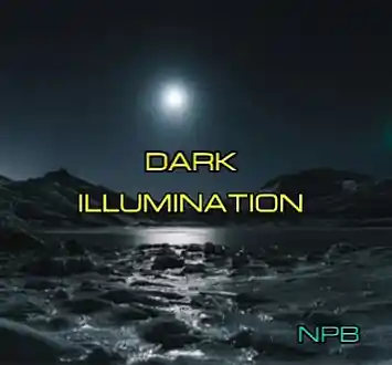 Picture for song 'Dark Illumination' by artist 'North Pole Butler'