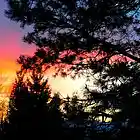 Picture for song 'As Quiet As The Wind' by artist 'Paraxy'z'