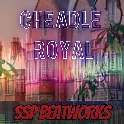 Picture for song 'Cheadle Royal - Horror Core type beat' by artist 'SSP Beatworx'