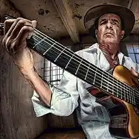 Picture for song 'THIS OLD MAN - Plays Rock & Roll ' by artist 'THE DESTINOTICS'