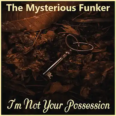 Picture for song 'I'm Not Your Possession' by artist 'The Mysterious Funker'