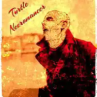 Picture for song 'Squeak Toy' by artist 'Turtle Necromancer'