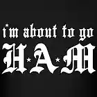 Picture for song 'Go Ham_U.C.Studios*Free D/L*' by artist 'U C Studios'