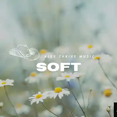 Picture for song 'Soft (Slow Country Type Beat)' by artist 'Alex Thrive Music'