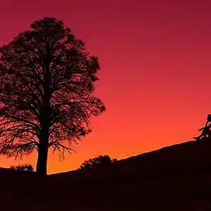 Picture for song 'Reminiscin'' by artist 'Beats by Michayllox'