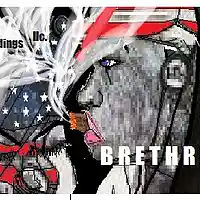 Picture for song 'Breathren' by artist 'BFO Re. LLC.'