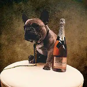 Picture for song 'Trappy (FREE DL)' by artist 'BriezyDaCeo'