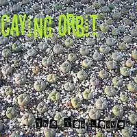 Picture for song 'Tea LeavesVI(Karmabent)' by artist 'Decaying Orbit'