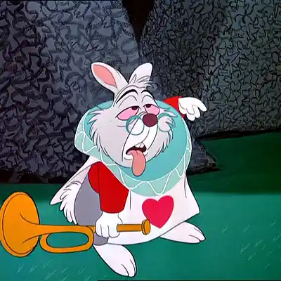 Picture for song 'White Rabbit' by artist 'Jimi Sweeney'
