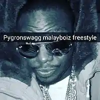 Picture for song 'Pygronswagg Malay boiz freestyle' by artist 'Pygronswagg'