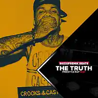 Picture for song 'The Truth' by artist 'SkizoFrenikBeats'