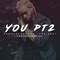 Picture for song 'You Pt2 *PND* FREE DL' by artist 'The Siinergy'