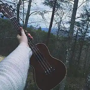 Song picture