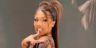Picture for song 'Burning Desire (tagged) Megan Thee Stallion Type' by artist 'TreyTheeProducer'
