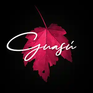 Picture for song 'Guasu - Cursi despedida (Prod.SemEscritores)' by artist 'Sello Veinticuatro siete'