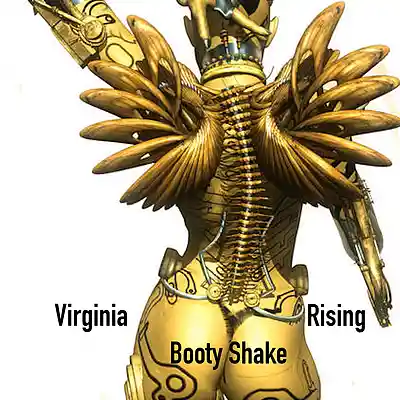 Picture for song 'Booty Shake' by artist 'VIRGINIA RISING'