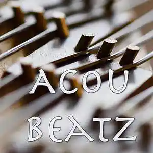 Picture for song 'Fly me to the Moon (Cover Version)' by artist 'AcouBeatz'