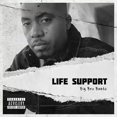Picture for song 'LIFE SUPPORT *Freestyle x Boom Bap Story Telling' by artist 'Big Bro Beats'