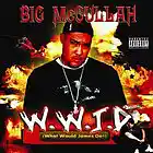 Picture for song '3. Nobody Got Luv 4 Me' by artist 'Big McCullah'