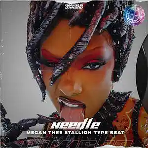 Picture for song 'Needle' by artist 'Dimsho Beats'