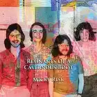 Picture for song 'Miss Barnes' by artist 'Micky Risk'