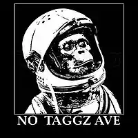 Picture for song 'Unmanned Instrumental:NO TaGGZ AVE' by artist 'No TaGGz'