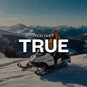 Picture for song 'TRUE (BUY 2 GET 1 FREE) JUICE WRLD TYPE BEAT' by artist 'prod.ohey'