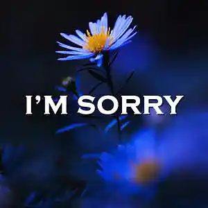 Picture for song 'I'm Sorry' by artist 'SadGlad Music'