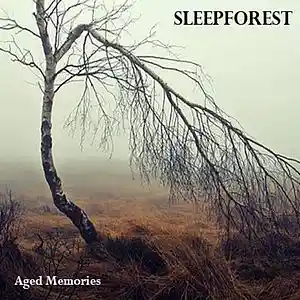 Picture for song 'Two sides of the mirror' by artist 'SLEEPFOREST'
