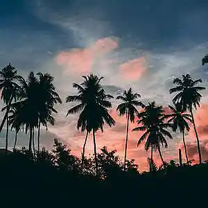 Picture for song 'CALIFORNIA - G-Funk x West Coast Type Beat' by artist 'LIL YAZU BEATS'