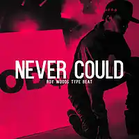 Picture for song 'Never Could' by artist 'Jake Mark Music'
