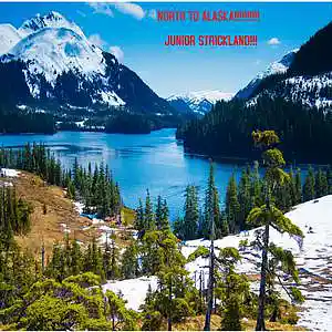 Picture for song 'NORTH TO ALASKA!!!!!!!' by artist 'JUNIOR STRICKLAND'