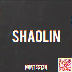 Picture for song 'Shaolin 140 Bpm' by artist 'Martes13x'