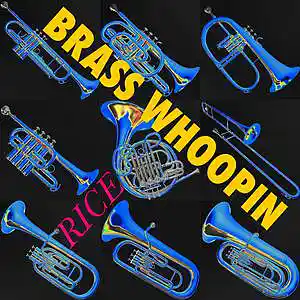 Picture for song 'Brass Whoopin' by artist 'RICE'