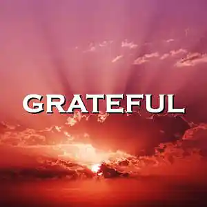 Picture for song 'Grateful' by artist 'SadGlad Music'