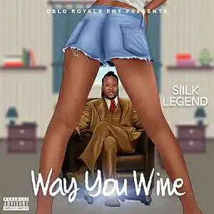 Picture for song 'WAY YOU WINE' by artist 'Siilk Legend'