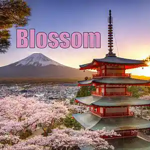 Picture for song 'Blossom' by artist 'wellzybeats'