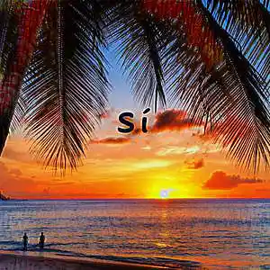 Picture for song 'Sí' by artist 'Yourney'