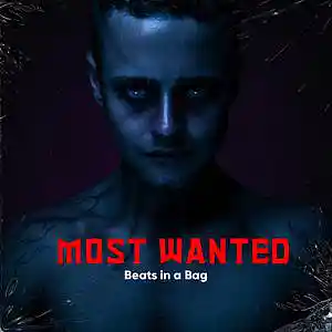 Picture for song 'MOST WANTED' by artist 'Beats in a Bag'