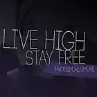 Picture for song 'FIRE - "Live High, Stay Free" - DresmoreMusic.com' by artist 'Dresmore'